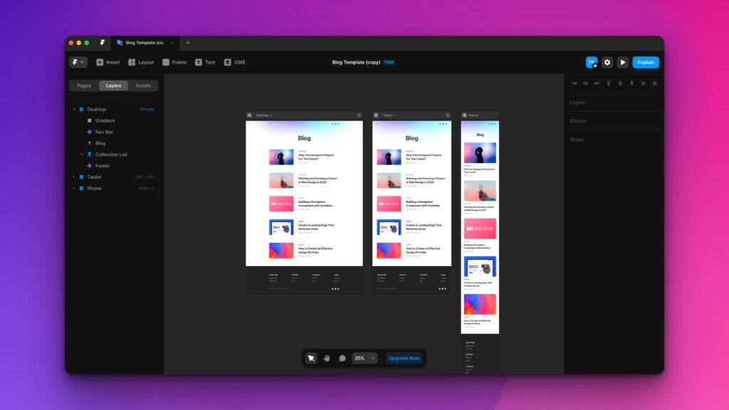 Framer program preview